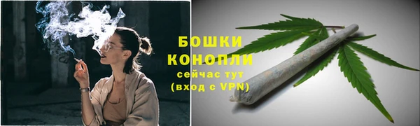 спиды Михайлов