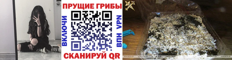 где купить наркоту  Алзамай  Псилоцибиновые грибы мухоморы 